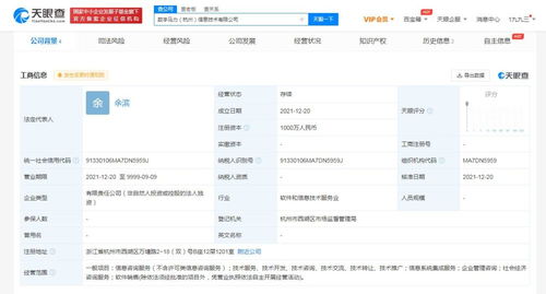 信息系統集成服務的全面解析